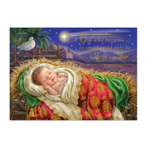 Baby Jesus lying in the manger - 2023 Society of the Little Flower Christmas Card