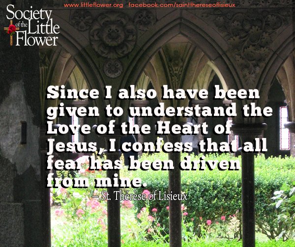 Since I also have been given to understand the Love of the Heart of Jesus, I confess that all fear has been driven from mine. -St. Therese of Lisieux
