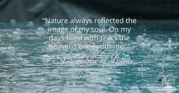 "Nature always reflected the image of my soul.  On my days filled with tears the heavens cried with me." - St. Therese