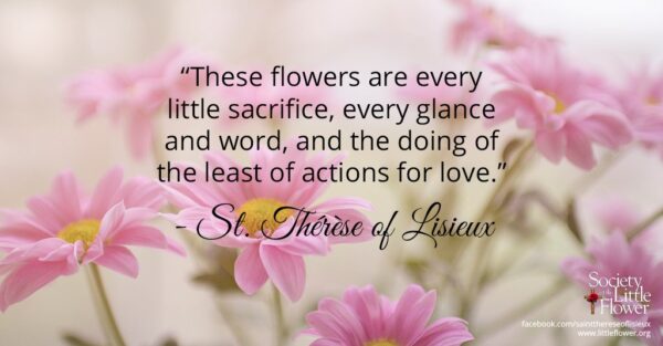 "These flowers are every little sacrifice, every glance and word, and the doing of the least of actions for love." - St. Therese