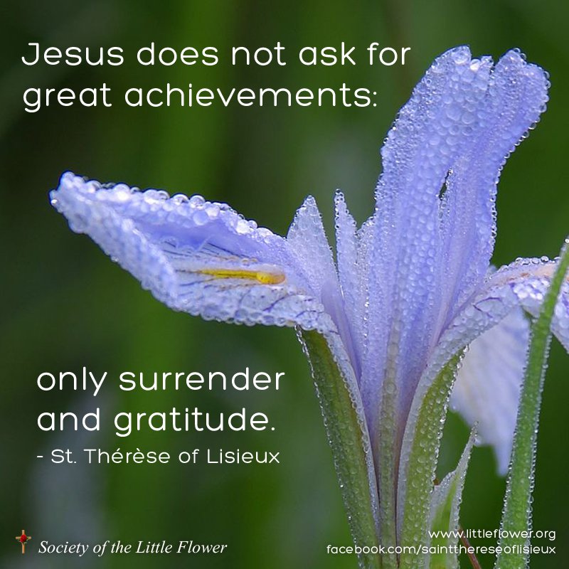 Surrender and gratitude