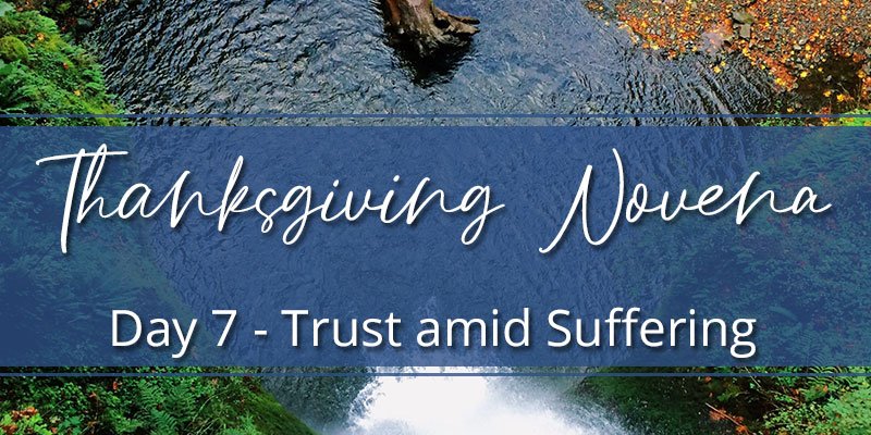 Thanksgiving Novena Day Seven: Trust Amid Suffering