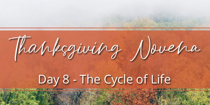 Thanksgiving Novena Day Eight: The Cycle of Life