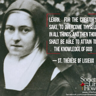 Learn, for the Creator’s Sake