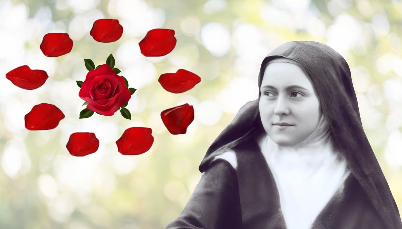 St Therese looking towards a rose surrounded by petals