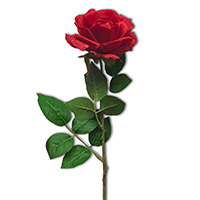 Image for choice number 2